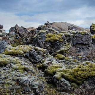 Landmannalaugar - Laugahraun